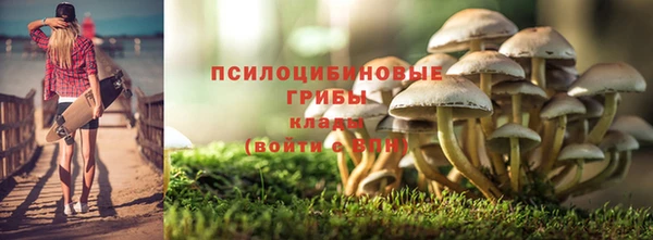 ECSTASY Беломорск
