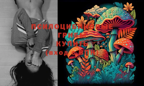 ECSTASY Беломорск