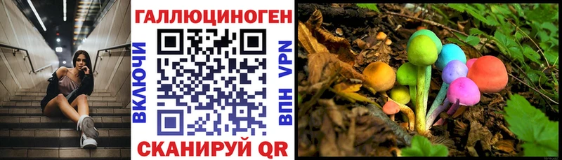 купить наркоту Ворсма Галлюциногенные грибы Cubensis